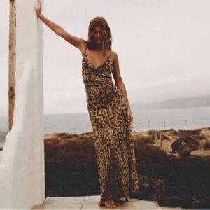 Zara Animal Print Maxi Dress